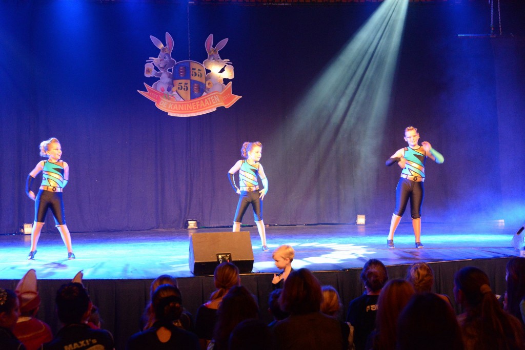 ../Images/Dansmarieke festival 2015 353.jpg